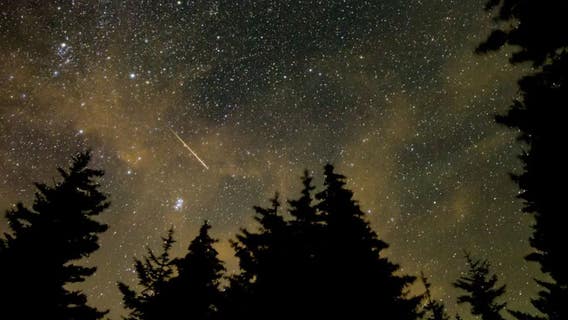 Perseid meteor shower: Best places and times to watch for this weekend's show