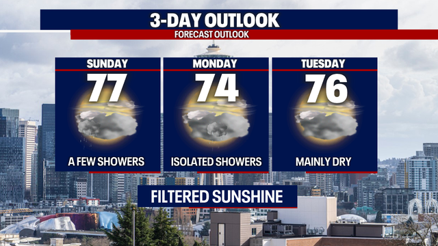 Cloudy with a chance for light showers Seafair Sunday