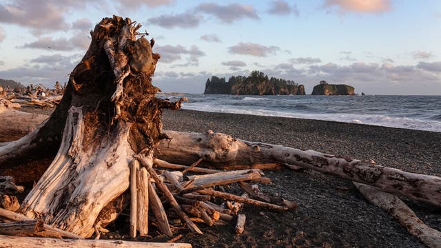 Native nations on front lines of climate change share knowledge and find support at intensive camps