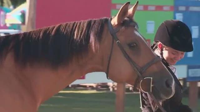 Things to do: Félix Hernández Mariners HOF, Cat Convention, Skagit Valley Fair & more