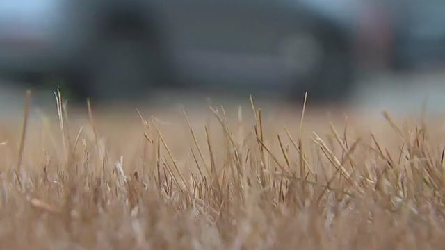 Brush fire danger remains high in Pierce County despite rain, cooler temperatures