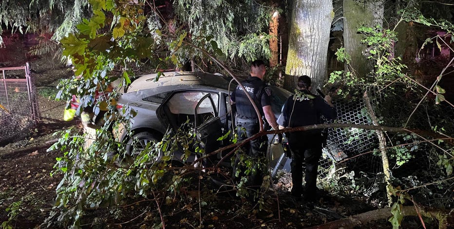 Teen suspects hospitalized after carjacking, crash in Black Diamond