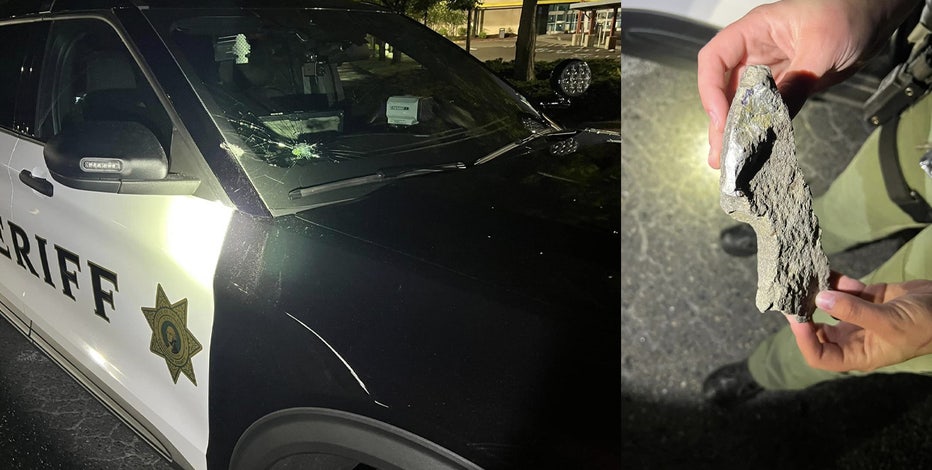 Man arrested after throwing rock at Sheriff's cruiser, fighting with deputy in Olympia