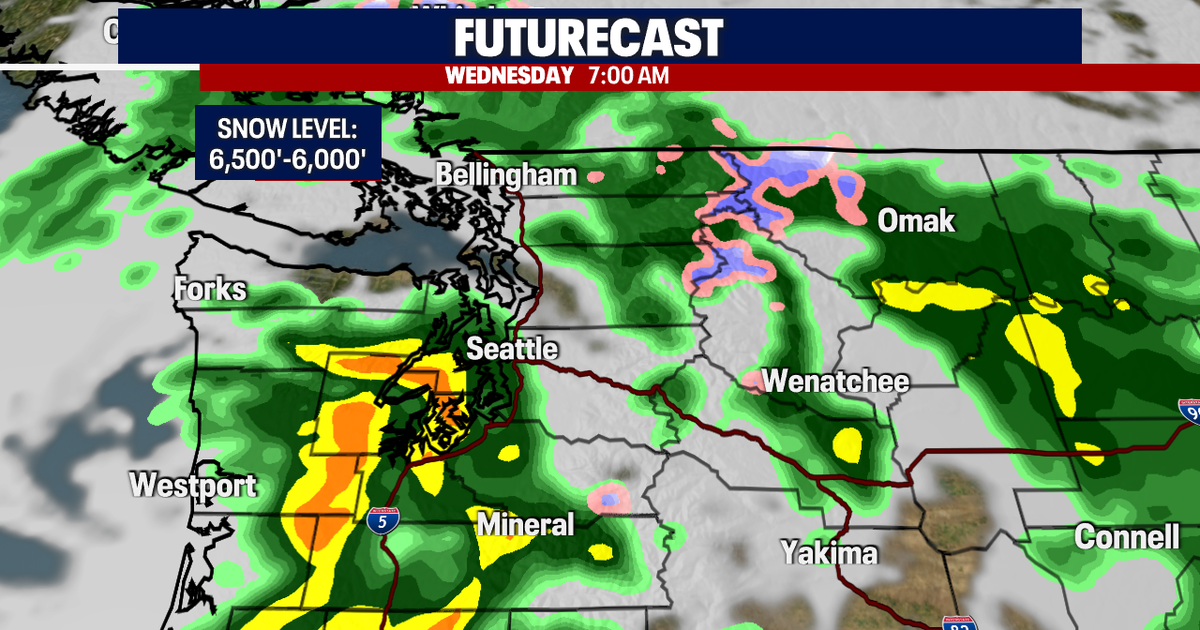 Weather Alert Day: Heavy rain and gusty winds on Wednesday | FOX 13 Seattle