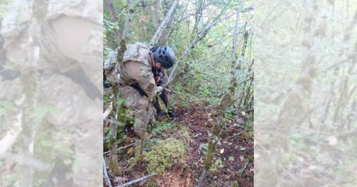 Blaine Border Patrol rescues 3 people stranded by human smugglers | FOX ...