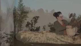 Life after death: An inside look into the human composting process based in Seattle