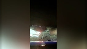 Alleged drunk driver accidentally reports himself to 911 in bizarre highway incident: 'dumb f---'