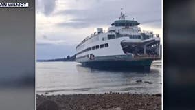 Report: Fungus in fuel storage caused ferry to run aground near Bainbridge Island