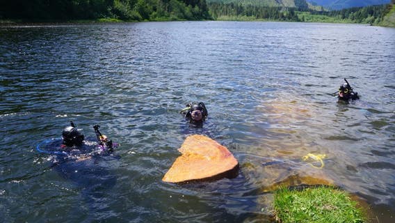 Dead trees uncover truth of massive earthquake that current models don’t plan for
