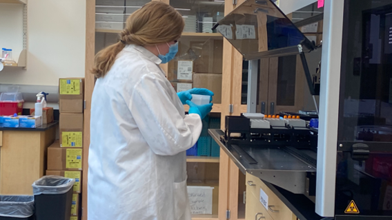 Washington Crime Lab on track to clear backlog of rape kits in next 3 months