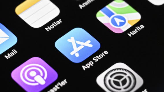 Bellevue teens win Technovation Award for innovative abortion support app