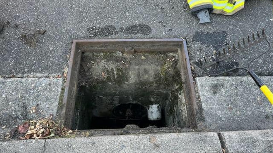 PHOTOS: Police rescue kittens from storm drain in Marysville