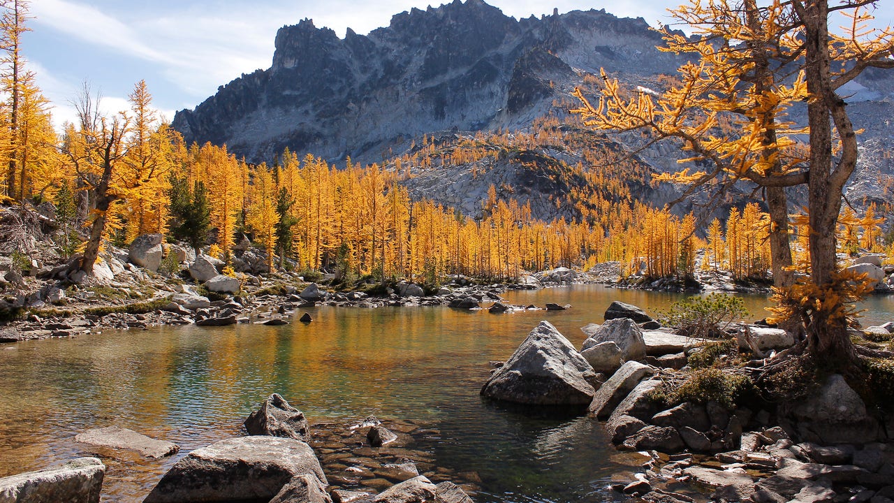 Larch Madness: Frustrations grow over big crowds on local trails - Vimarsana News