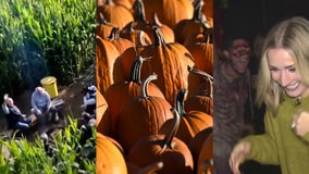 Things to do: Pumpkin patches, corn mazes, haunted houses, Día de los Muertos celebrations & MORE!