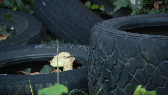 ‘Nothing was fixed’; South Seattleites wait months for city to clean up illegally dumped tires