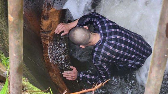 Tukwila PD: Suspect hides from officers in storm drain, arrested on felony warrants