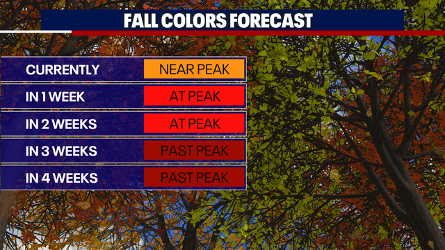 Seattle weather: Feeling like summer the next four days