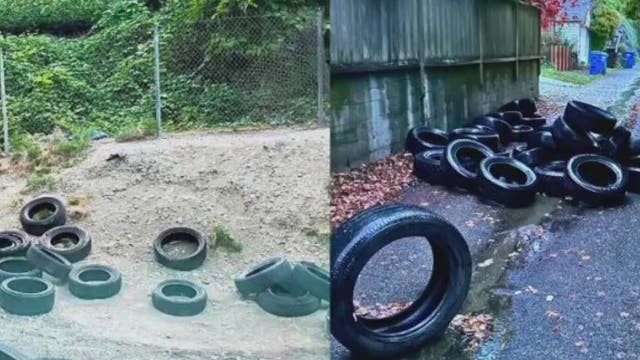 'More than 700 tires are waiting to be removed:' Seattle officials see increase in illegal tire dumping