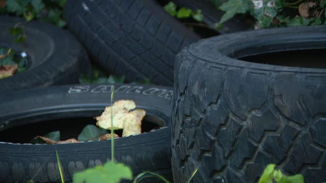 ‘Nothing was fixed’; South Seattleites wait months for city to clean up illegally dumped tires