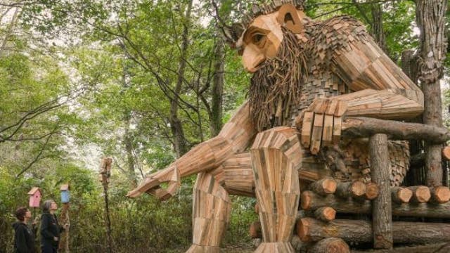 Giant trolls take-over Puget Sound: Where they are and what they mean