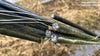 Vandalized cable lines cause service outage to some Xfinity customers in Washington state