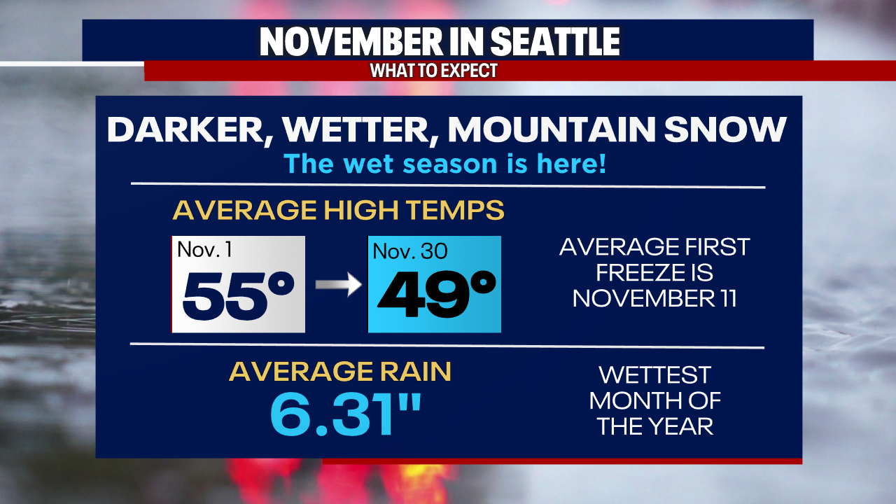 Seattle Weather: Heavy Rain Hits Western Washington Wednesday Night ...