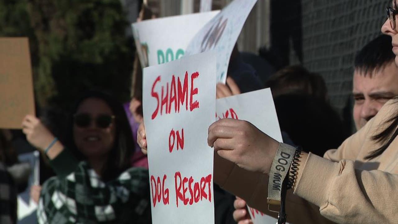 'Keep the dogs safe': Dozens protest The Dog Resort following Monday's fire - Vimarsana News