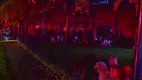 ‘Mine is dead and missing’; Seattle woman grieves dogs lost in daycare fire