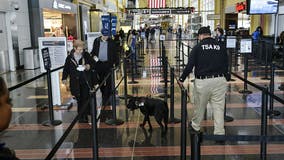 TSA's K-9 adoption program: How you can take home a dog not cut out for agency