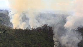 Another wildfire burning in Hawaii threatens irreplaceable rainforest on Oahu