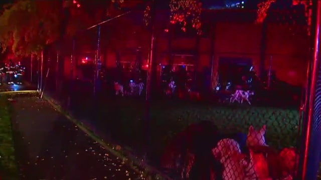 ‘Mine is dead and missing’; Seattle woman grieves dogs lost in daycare fire