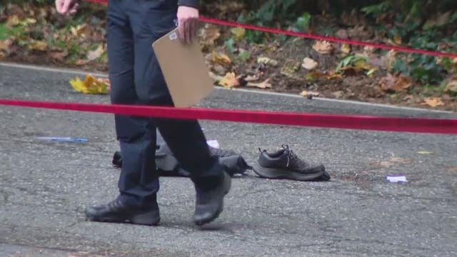 Mayor Harrell unveils plan to secure Seattle’s green spaces