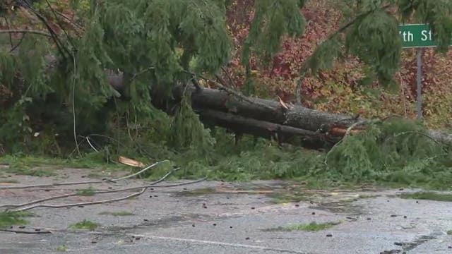 ‘Be prepared’: Wind gusts prompt weather alerts across Western Washington