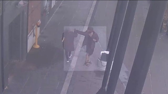 Seattle light rail hammer attack suspect in court for different attack