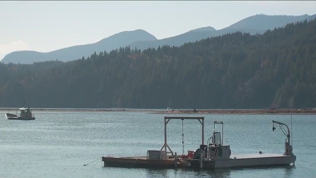 Where are carbon tax dollars going? WA touts new forest preserve as gas prices remain high for drivers