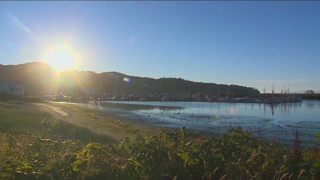 Makah Tribe nearing final answer on bid to hunt whales again