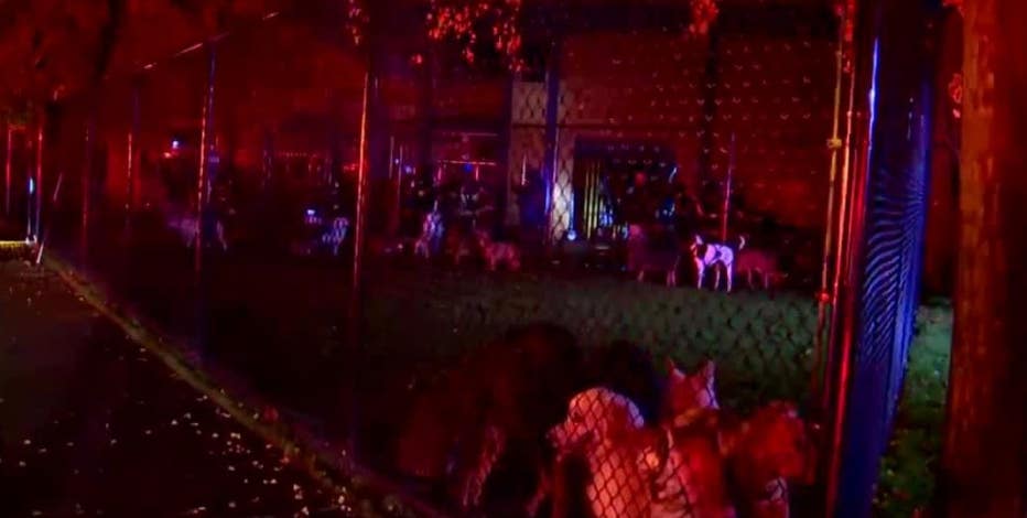 ‘You can’t bully your employees’: Group plans weekend protest following fire at SoDo dog day care