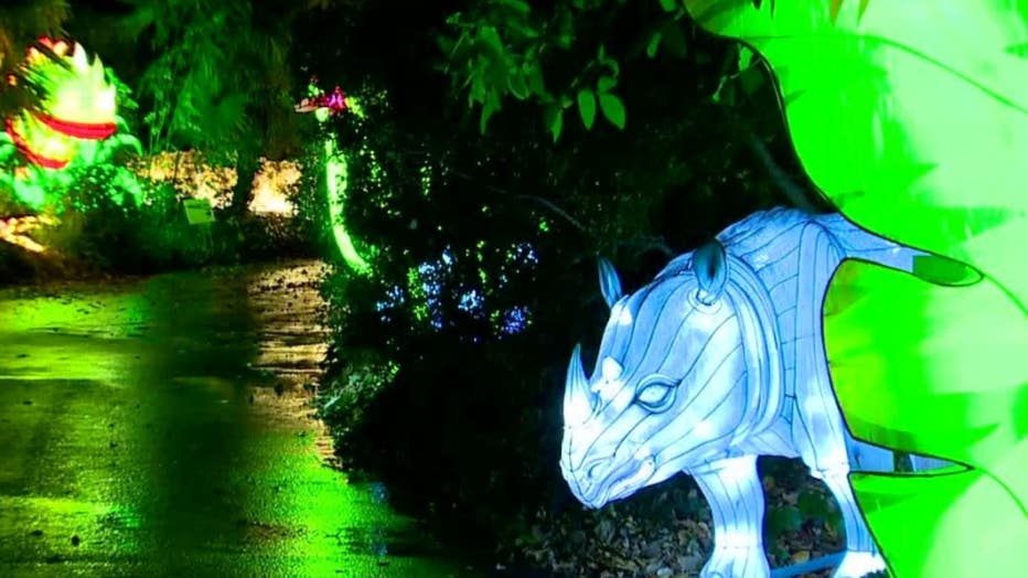 colorful lights at night at the zoo