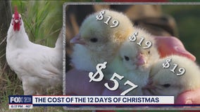 12 Days of Christmas: How much would it all cost in 2023?