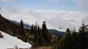 Washington hiker survives 1,200-foot fall on Mt. Ellinor in Olympic National Forest, Navy says