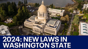 Minimum wage, cannabis use, waiting period for guns: New laws going into effect in Washington in 2024