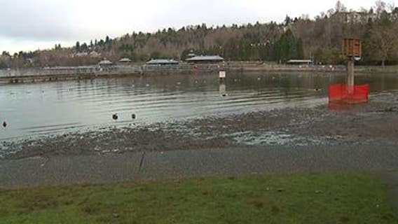 Toxic algae bloom found in King County lakes, potentially impacting polar plunges