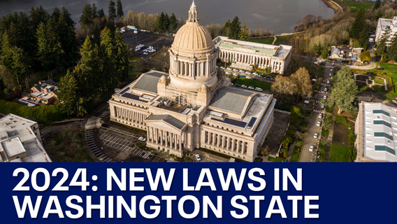 Minimum wage, cannabis use, waiting period for guns: New laws going into effect in Washington in 2024