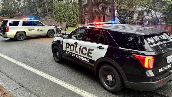 Redmond PD investigating 2 possible arsons