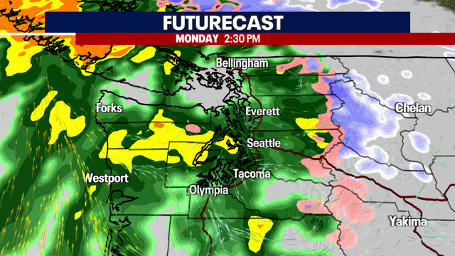 A Soggy and Breezy Christmas Day