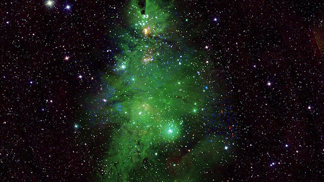 'Christmas Tree Cluster' stars shine bright: 'It's beginning to look a lot like cosmos'