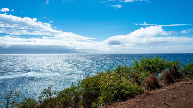 Man dies after shark attack along Maui beach