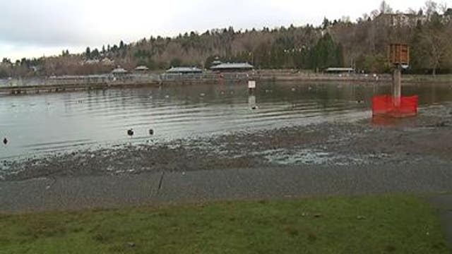 Toxic algae bloom found in King County lakes, potentially impacting polar plunges