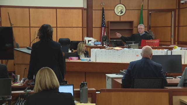 'Evokes all the stereotypes of Nazi Germany:' Judge calls out prosecution in Ellis death trial for word choice