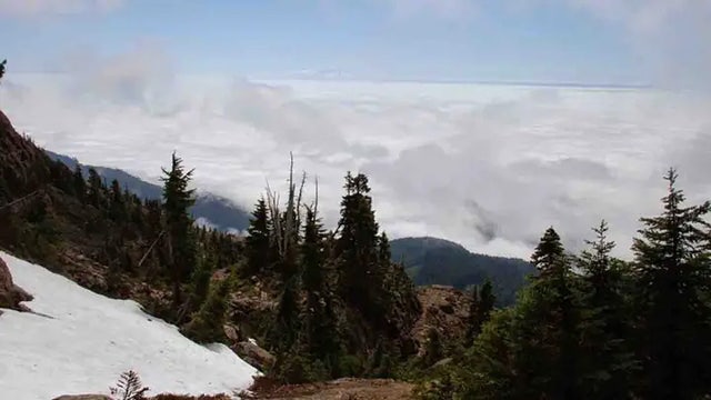 Washington hiker survives 1,200-foot fall on Mt. Ellinor in Olympic National Forest, Navy says